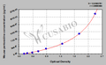 Mouse Pentosidine ELISA Kit