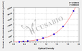 Human α-Glucosidase ELISA Kit