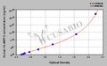 Human lysosomal-associated membrane protein 2,HLAMP-2 ELISA Kit
