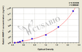 Rabbit matrix metalloproteinase 1,MMP-1 ELISA kit