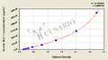 Human B-Lymphocyte Chemoattractant 1,BLC-1 ELISA Kit