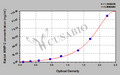 Rabbit matrix metalloproteinase 2/Gelatinase A,MMP-2 ELISA Kit