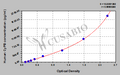 Human cyclophilin B,CyPB ELISA Kit