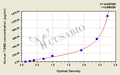 Human transglutaminase 2C polypeptide,TGM2 ELISA Kit