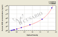 Human Xanthine Oxidase(XO) ELISA Kit