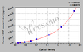 Human Sclerostin(SOST) ELISA Kit