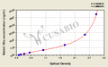 Rabbit complement fragment 5a,C5a ELISA Kit