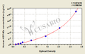 Human heat shock protein 90α (HSP-90α) ELISA kit