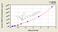 Human Caspase 8(Casp-8) ELISA Kit