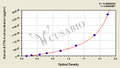 Human alpha-actinin-4(ACTN-4) ELISA Kit