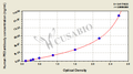 Human P53 antibody ELISA Kit