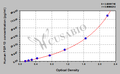 Human fibroblast growth factor-13,FGF-13 ELISA Kit