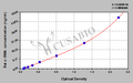 Rat α-Smooth muscle actin,α-SMA ELISA Kit