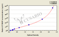 Rabbit Osteocalcin/bone gla protein,OT/BGP ELISA Kit