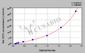 Rat 5'-nucleotidase/cluster of differentiation 73 (NT5E/CD73) ELISA kit