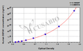Human defensin, alpha 1 (DEFA1) ELISA kit