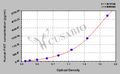 Human fragile histidine triad (FHIT) ELISA Kit