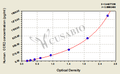 Human CC-Chemokine Receptor 2,CCR2 ELISA Kit