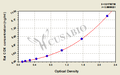 Rat cytochrome C oxidase(COX) ELISA Kit