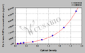 Rat 6-keto-PGF1α ELISA Kit