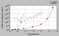 New Delhi metallo-beta-lactamase-1 (NDM-1) ELISA kit