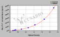 Rat Cardiac Troponin T(cTn-T)ELISA kit
