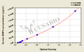 Human bone morphogenetic protein 4 (BMP4) ELISA Kit