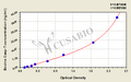 Bovine Caspase 7(Casp-7) ELISA Kit