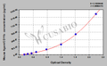 Mouse Integrin alpha-M (Itgam/CD11b) ELISA Kit