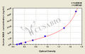 Human myelin-associated glycoprotein(MAG) ELISA Kit