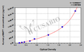 Human phosphorylated microtubule-associated protein tau (pMAPT /pTAU) ELISA kit
