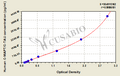 Human cleaved microtubule-associated protein tau (C-MAPT/C-TAU) ELISA kit