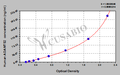 Human A disintegrin and metalloproteinase with thrombospondin motifs 2(ADAMTS2) ELISA kit