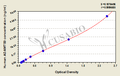 Human A disintegrin and metalloproteinase with thrombospondin motifs 9(ADAMTS9) ELISA kit