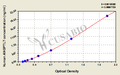 Human Angiopoietin-related protein 7(ANGPTL7) ELISA kit