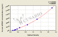 Human DNA-(apurinic or apyrimidinic site) lyase (APEX1) ELISA kit