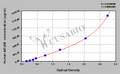 Human ADP-ribosylation factor-like protein 8B(ARL8B) ELISA kit