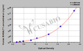 Human Beta-1,4-galactosyltransferase 1(B4GALT1) ELISA kit