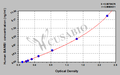 Human BMP and activin membrane-bound inhibitor homolog(BAMBI) ELISA kit