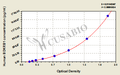 Human B1 bradykinin receptor(BDKRB1) ELISA kit