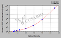 Human T-cell surface glycoprotein CD3 zeta chain (CD247) ELISA kit