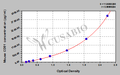 Mouse CD81 antigen(CD81) ELISA kit