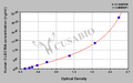 Human C-type lectin domain family 18 member A(CLEC18A) ELISA kit