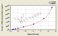 Human Calponin-2(CNN2) ELISA kit
