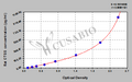 Rat Cathepsin S(CTSS) ELISA kit