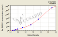 Rat CX3C chemokine receptor 1(CX3CR1) ELISA kit