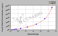 Human Mitochondrial import inner membrane translocase subunit TIM14(DNAJC19) ELISA kit
