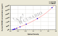 Human Ecto-NOX disulfide-thiol exchanger 2(ENOX2) ELISA kit