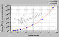 Human Epoxide hydrolase 2(EPHX2) ELISA kit