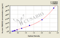 Human F-box only protein 32(FBXO32) ELISA kit